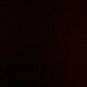 Meet your Posher, Jackson